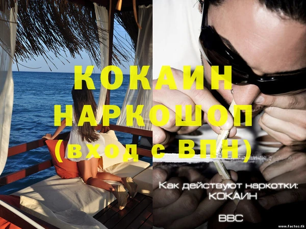 спайс Беломорск